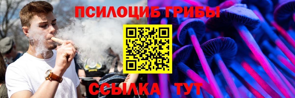 Галлюциногенные грибы мицелий  Псилоцибиновые грибы прущие грибы  Вход с VPN  Стрежевой 